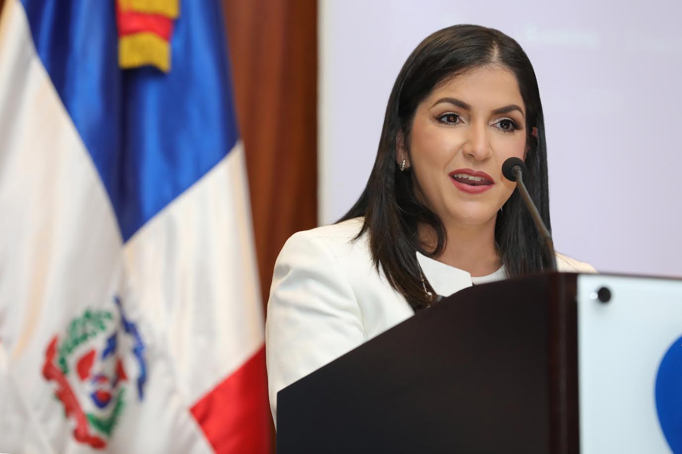 Exportaciones mercancías dominicanas superaron US,925.1 millones en 2024